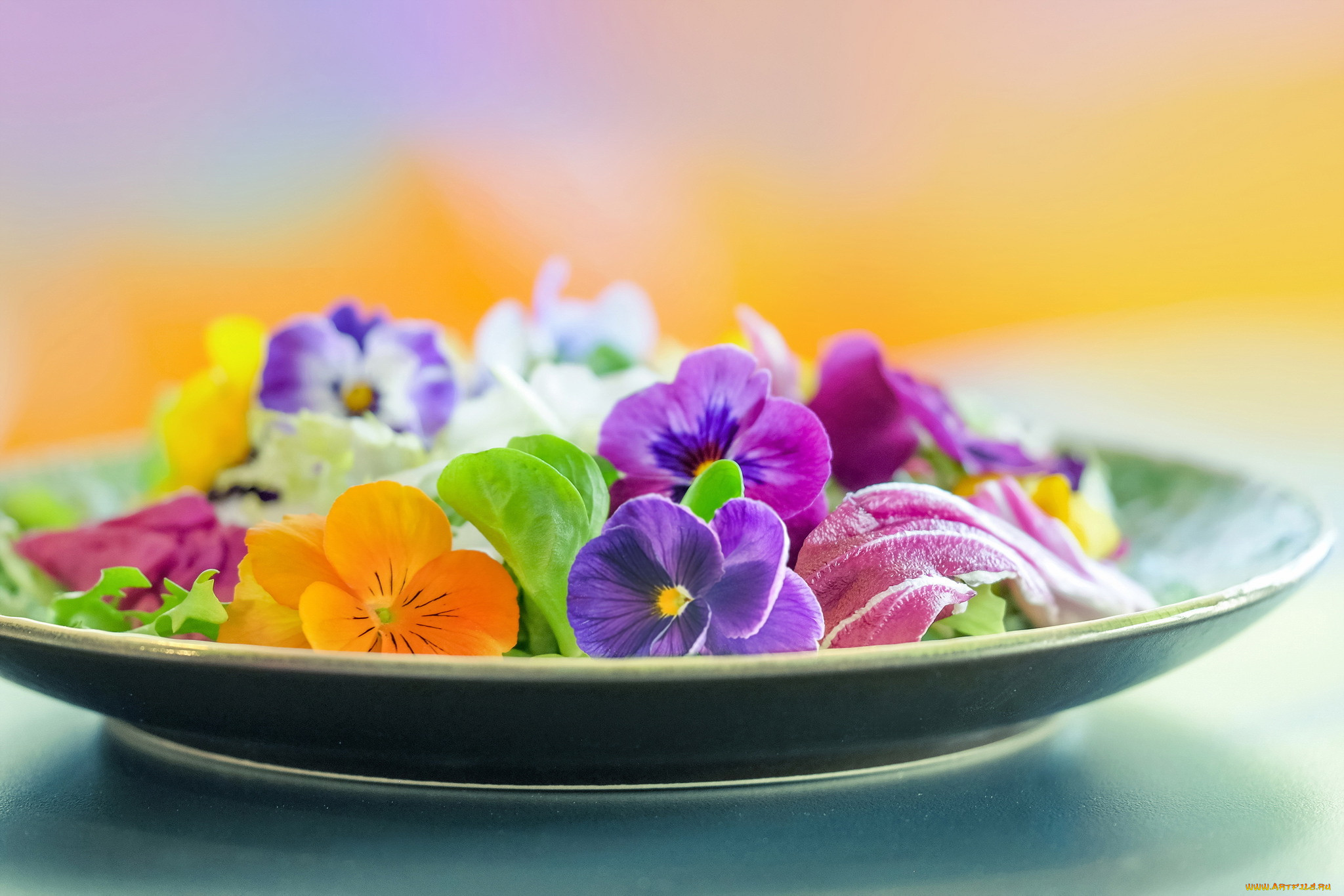 Тарелка с живыми цветами
